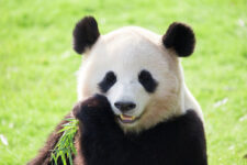 テストテストテストテストテスト